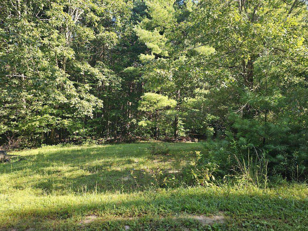 17 Acres of Recreational Land for Sale in Princeton, West Virginia