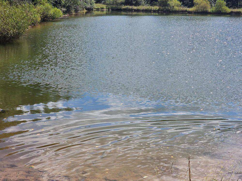 12.2 Acres of Recreational Land & Farm for Sale in Ronceverte, West Virginia