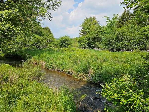 35 Acres of Recreational Land for Sale in Genesee, Pennsylvania