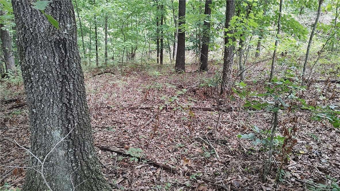 0.31 Acres of Residential Land for Sale in Bella Vista, Arkansas