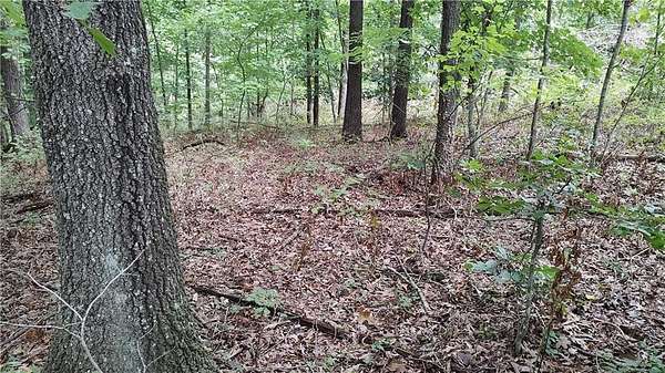 0.31 Acres of Residential Land for Sale in Bella Vista, Arkansas