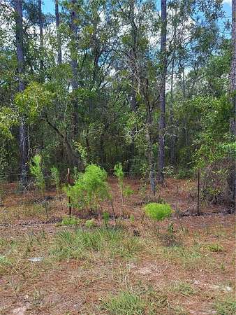1.26 Acres of Land for Sale in Dunnellon, Florida