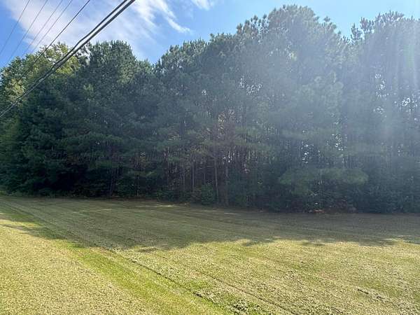 1 Acre of Residential Land for Sale in Jasper, Alabama
