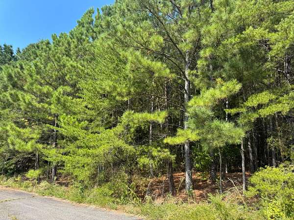 0.97 Acres of Residential Land for Sale in Jasper, Alabama