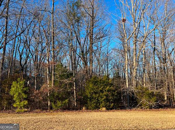 1.4 Acres of Land for Sale in Forsyth, Georgia