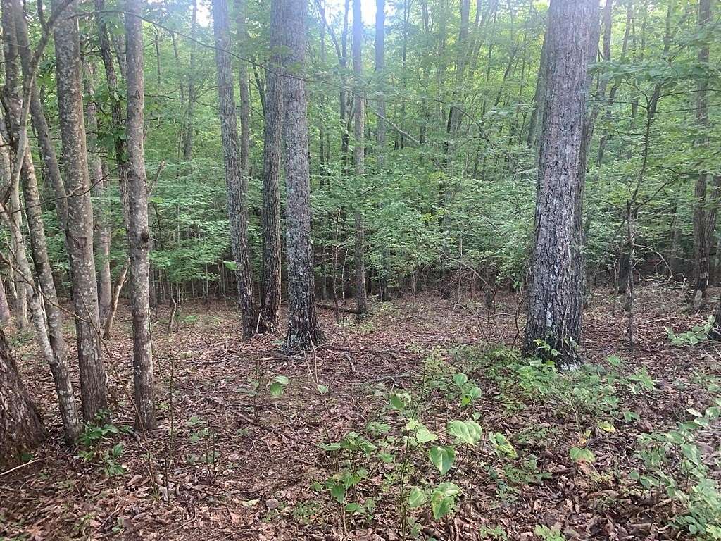 1 Acre of Land for Sale in Spencer, Tennessee
