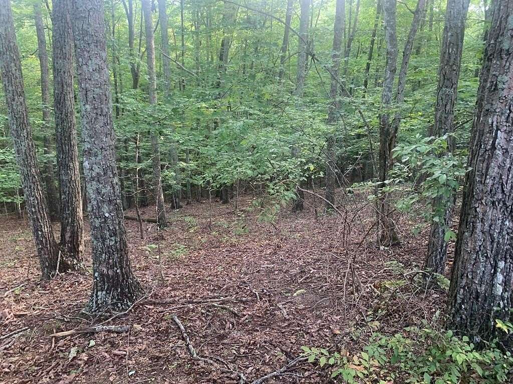 1 Acre of Land for Sale in Spencer, Tennessee