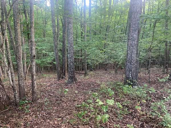 1 Acre of Land for Sale in Spencer, Tennessee