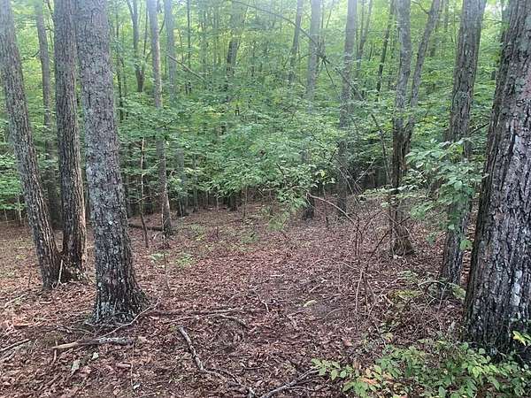 1 Acre of Land for Sale in Spencer, Tennessee