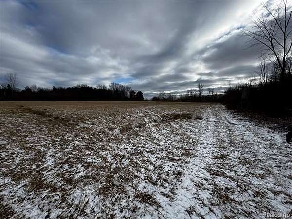 11 Acres of Recreational Land for Sale in Lenox Township, Michigan