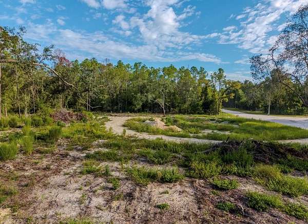 4.54 Acres of Residential Land for Sale in Old Town, Florida