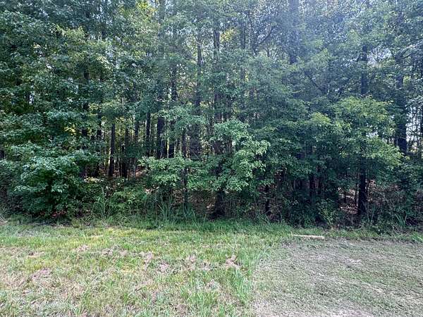 1 Acre of Residential Land for Sale in Jasper, Alabama