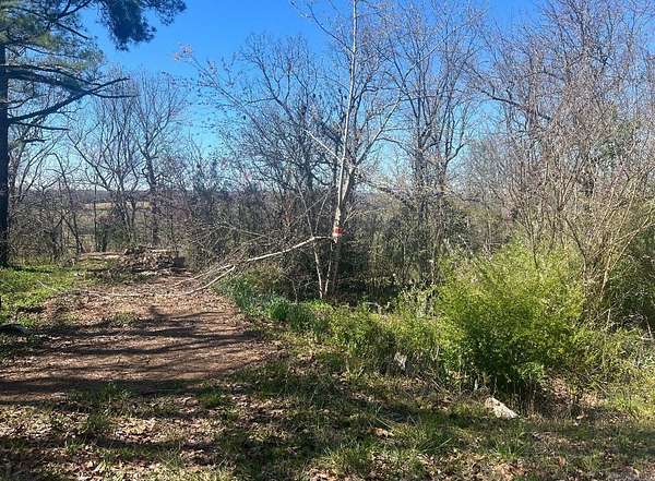 0.2 Acres of Residential Land for Sale in Horseshoe Bend, Arkansas