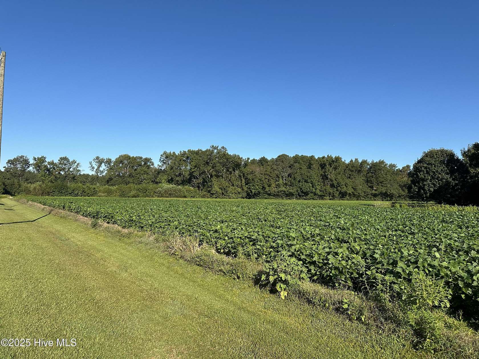 14.6 Acres of Land for Sale in Goldsboro, North Carolina
