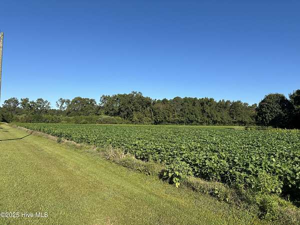 14.6 Acres of Land for Sale in Goldsboro, North Carolina