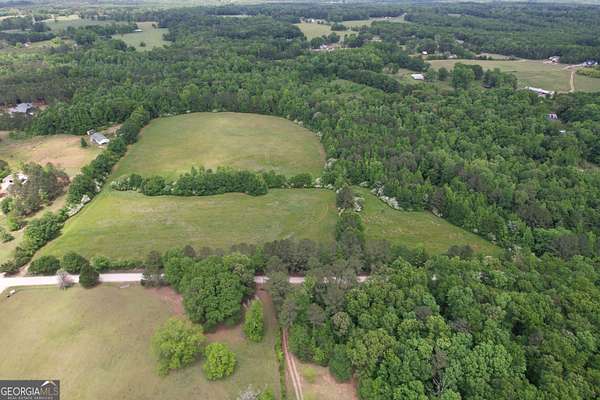 26.6 Acres of Agricultural Land for Sale in Zebulon, Georgia