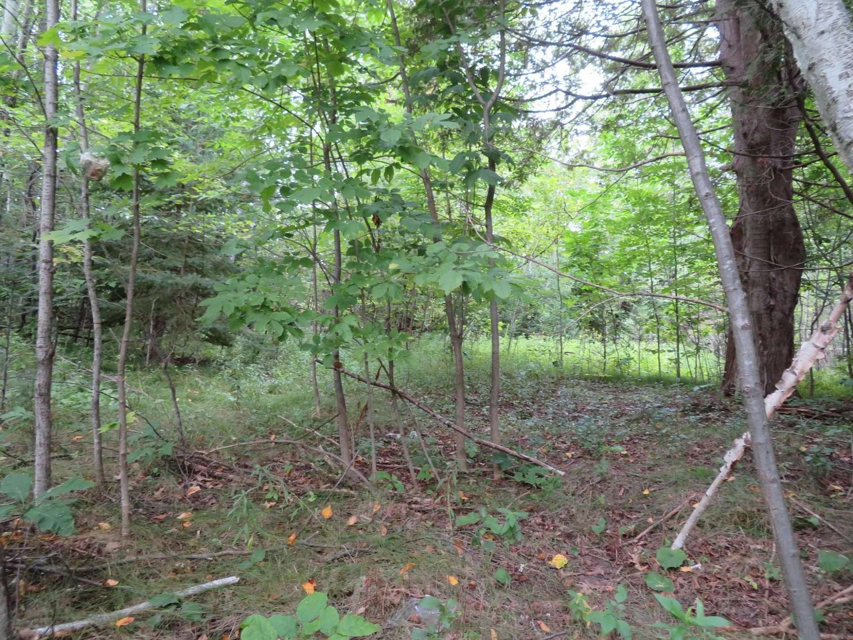 0.35 Acres of Land for Sale in Rhinelander, Wisconsin