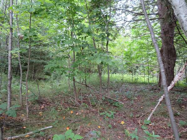 0.35 Acres of Land for Sale in Rhinelander, Wisconsin