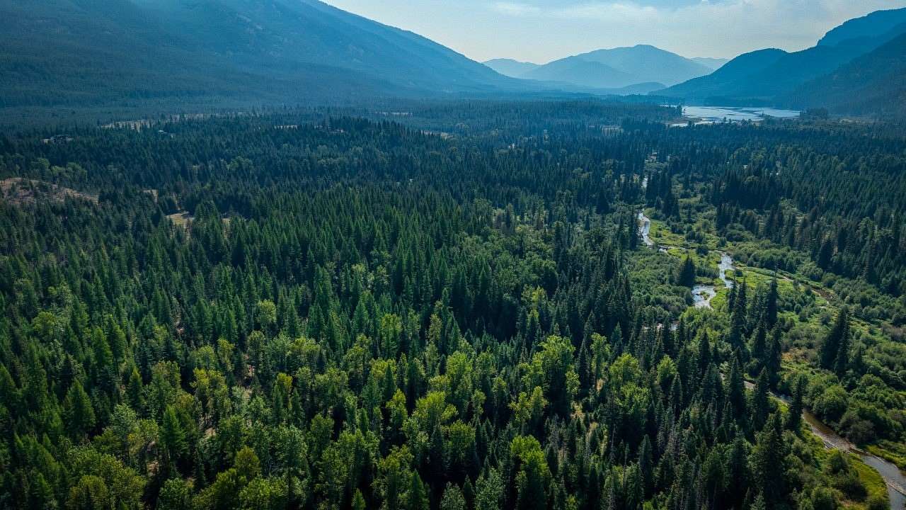 20 Acres of Agricultural Land for Sale in Troy, Montana