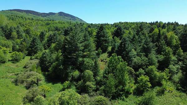 25.7 Acres of Recreational & Residential Land for Sale in Morristown, Vermont