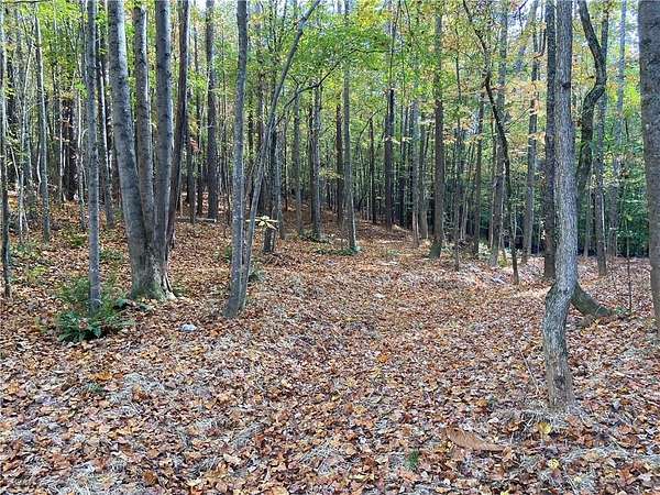 10.5 Acres of Land for Sale in Dallas, Georgia