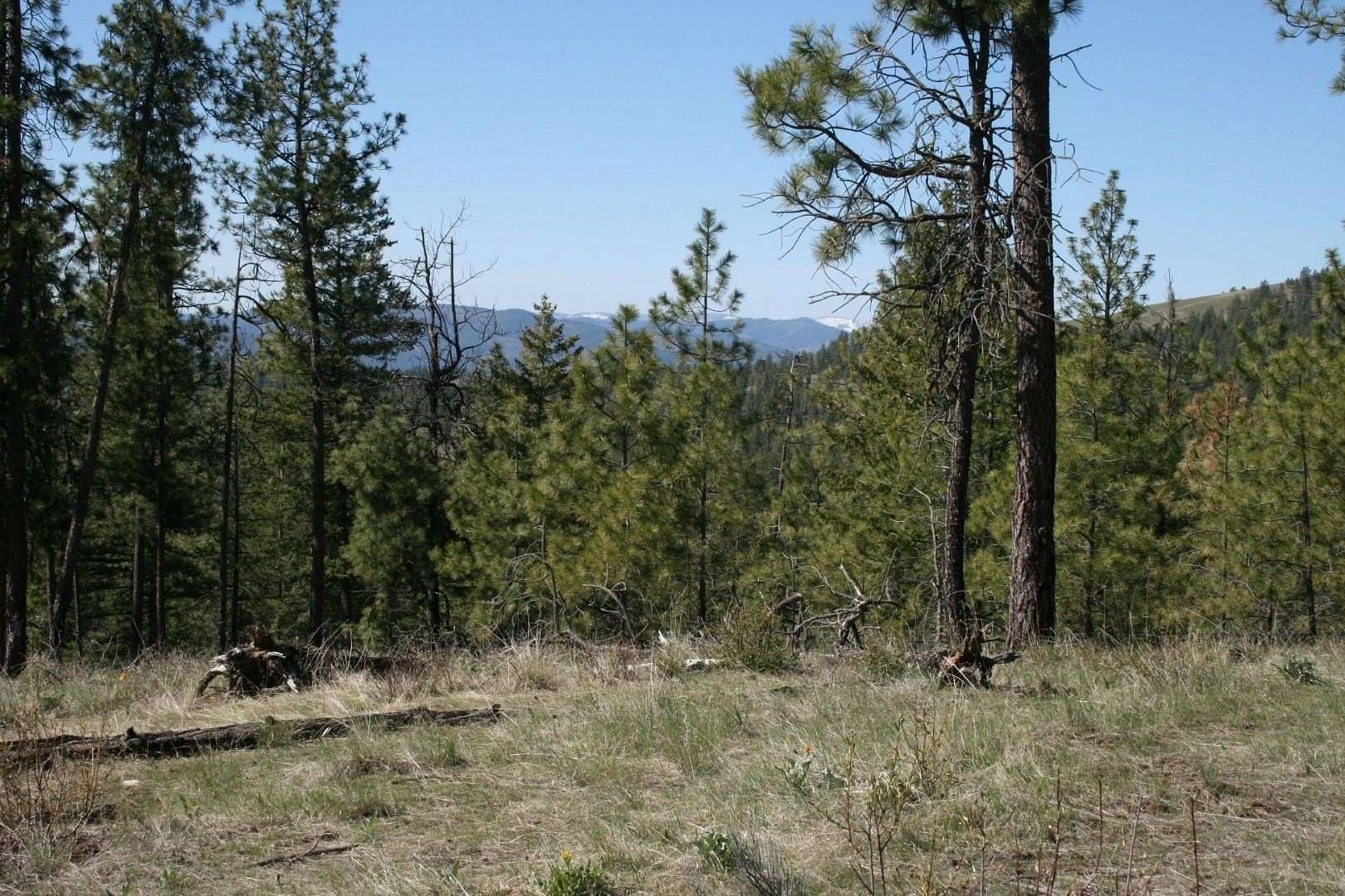 10 Acres of Recreational Land for Sale in Fruitland, Washington