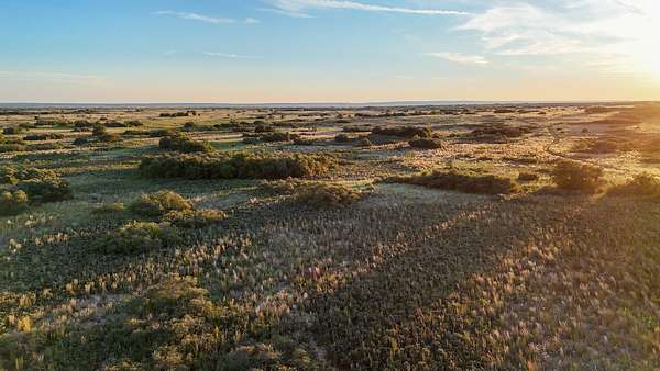 Land for Sale in Dickens, Texas