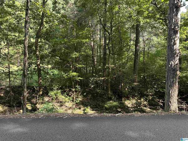 9.78 Acres of Land for Sale in Pinson, Alabama