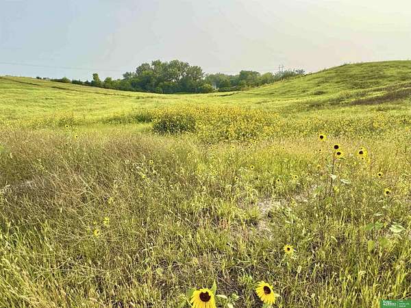 2.2 Acres of Residential Land for Sale in Gretna, Nebraska