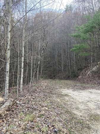 5 Acres of Residential Land for Sale in Butler, Tennessee