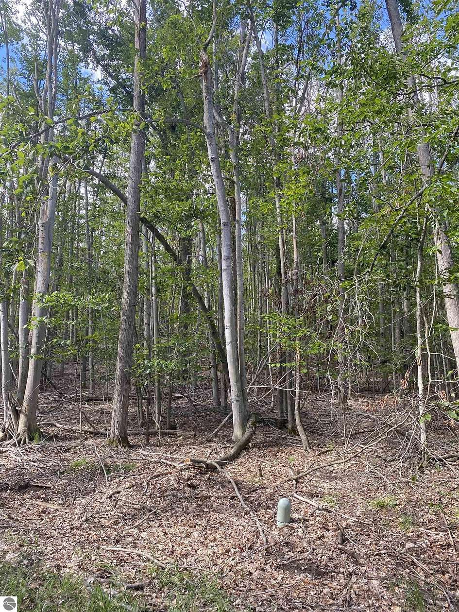 0.84 Acres of Residential Land for Sale in Gaylord, Michigan