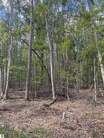 0.84 Acres of Residential Land for Sale in Gaylord, Michigan