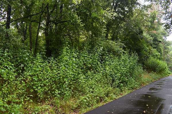 0.46 Acres of Residential Land for Sale in Palestine, Texas