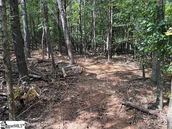 8 Acres of Residential Land for Sale in Enoree, South Carolina