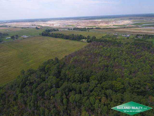 59.1 Acres of Recreational Land for Sale in Holly Ridge, Louisiana