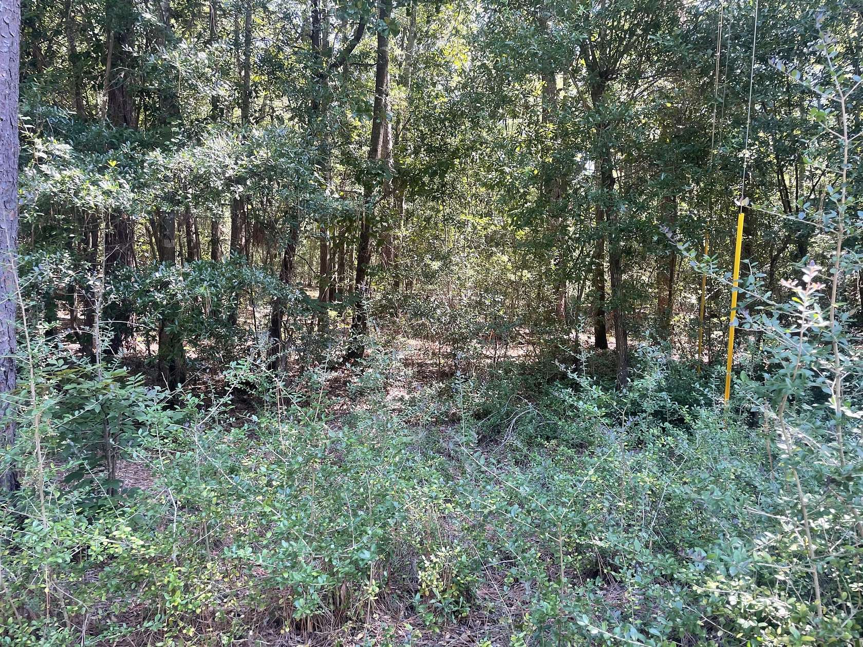 15.8 Acres of Land for Sale in Aiken, South Carolina