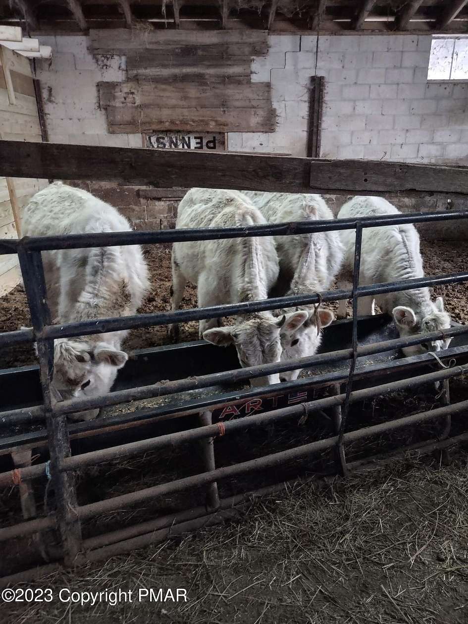 91.1 Acres of Land for Sale in Newfoundland, Pennsylvania