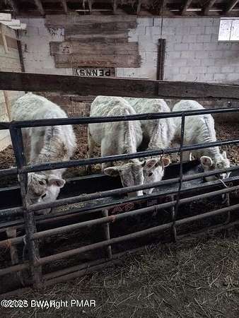 91.1 Acres of Land with Home for Sale in Newfoundland, Pennsylvania