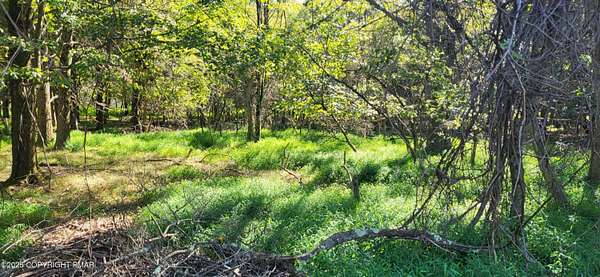 0.46 Acres of Land for Sale in Albrightsville, Pennsylvania