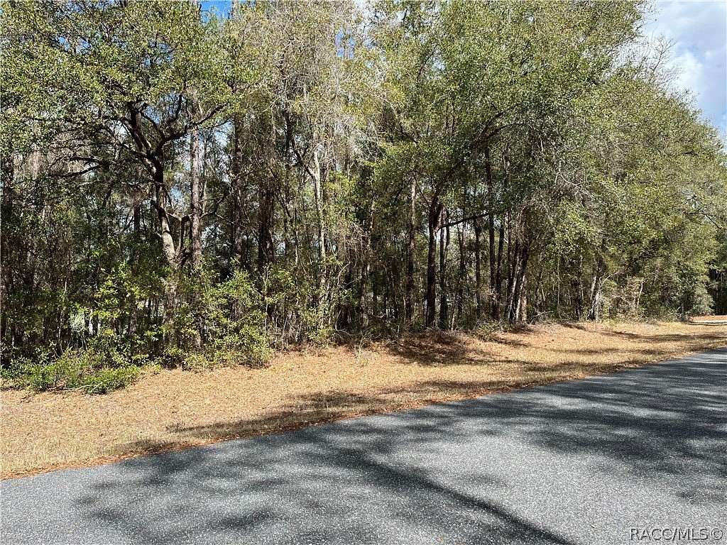 0.25 Acres of Residential Land for Sale in Dunnellon, Florida