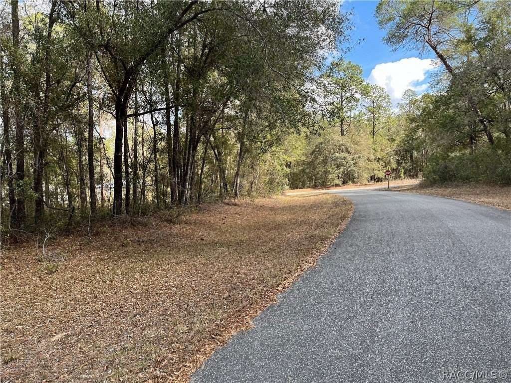 0.25 Acres of Residential Land for Sale in Dunnellon, Florida