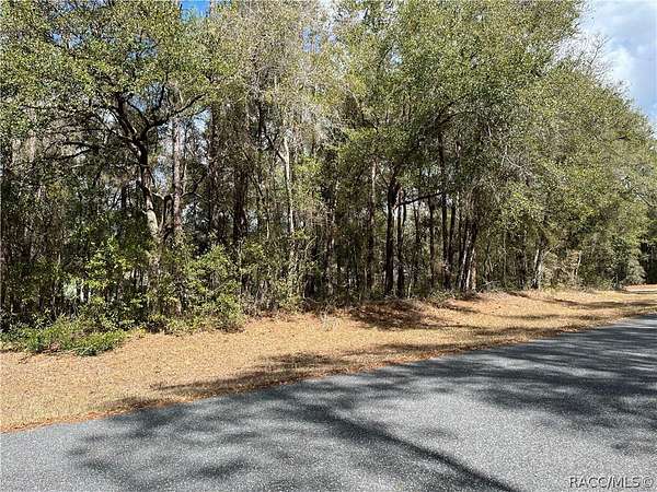 0.25 Acres of Residential Land for Sale in Dunnellon, Florida
