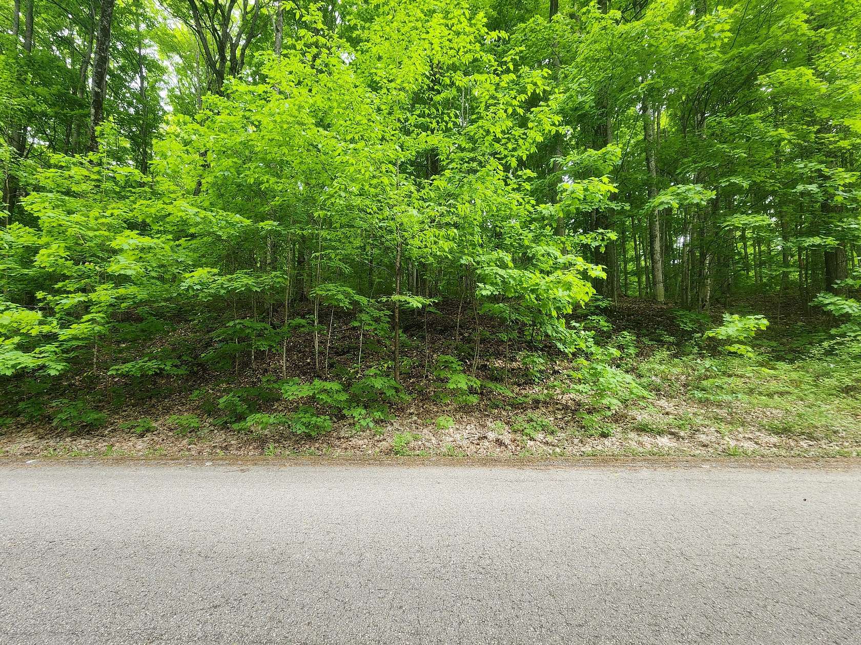 1.23 Acres of Residential Land for Sale in Gaylord, Michigan