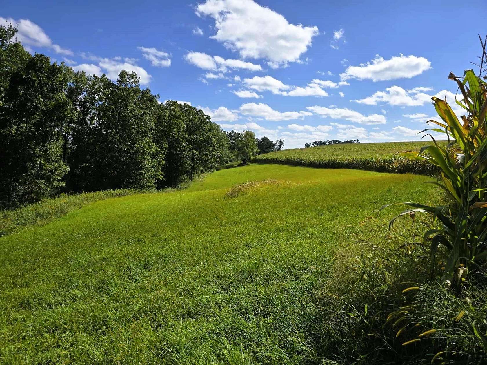 17 Acres of Agricultural Land for Sale in Soldiers Grove, Wisconsin
