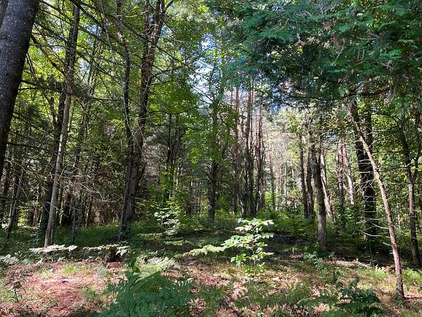 9 Acres of Land for Sale in Winthrop, New York