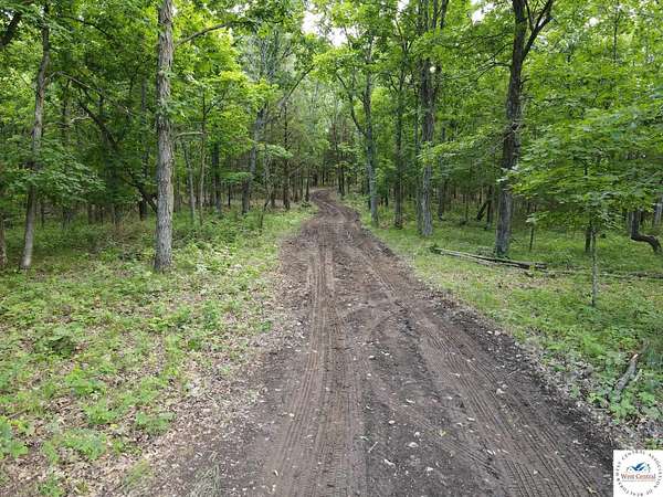 60 Acres of Recreational Land for Sale in Cole Camp, Missouri