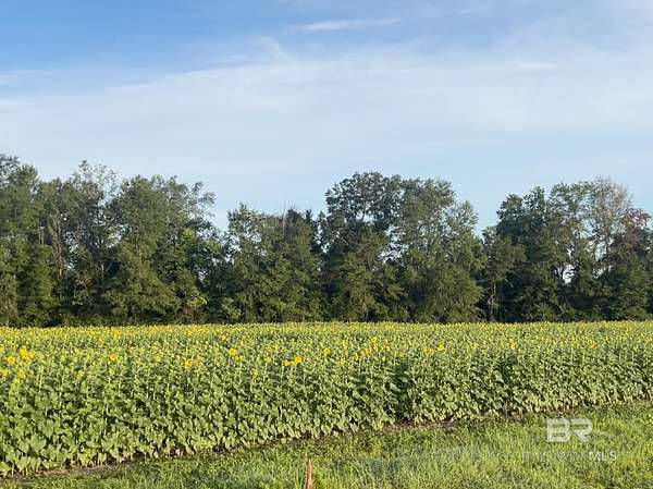 3.37 Acres of Residential Land for Sale in Summerdale, Alabama