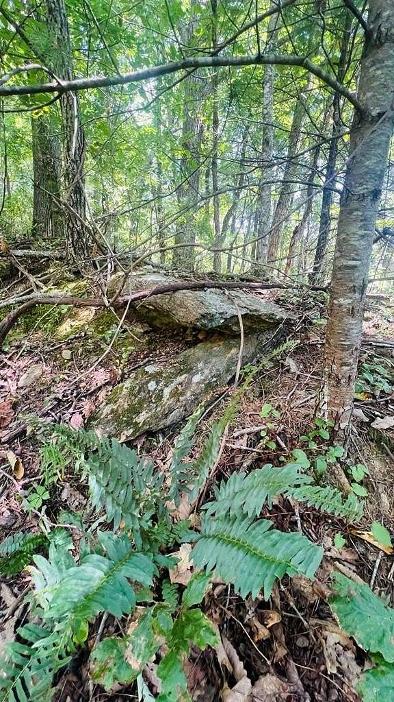 0.36 Acres of Residential Land for Sale in Fancy Gap, Virginia