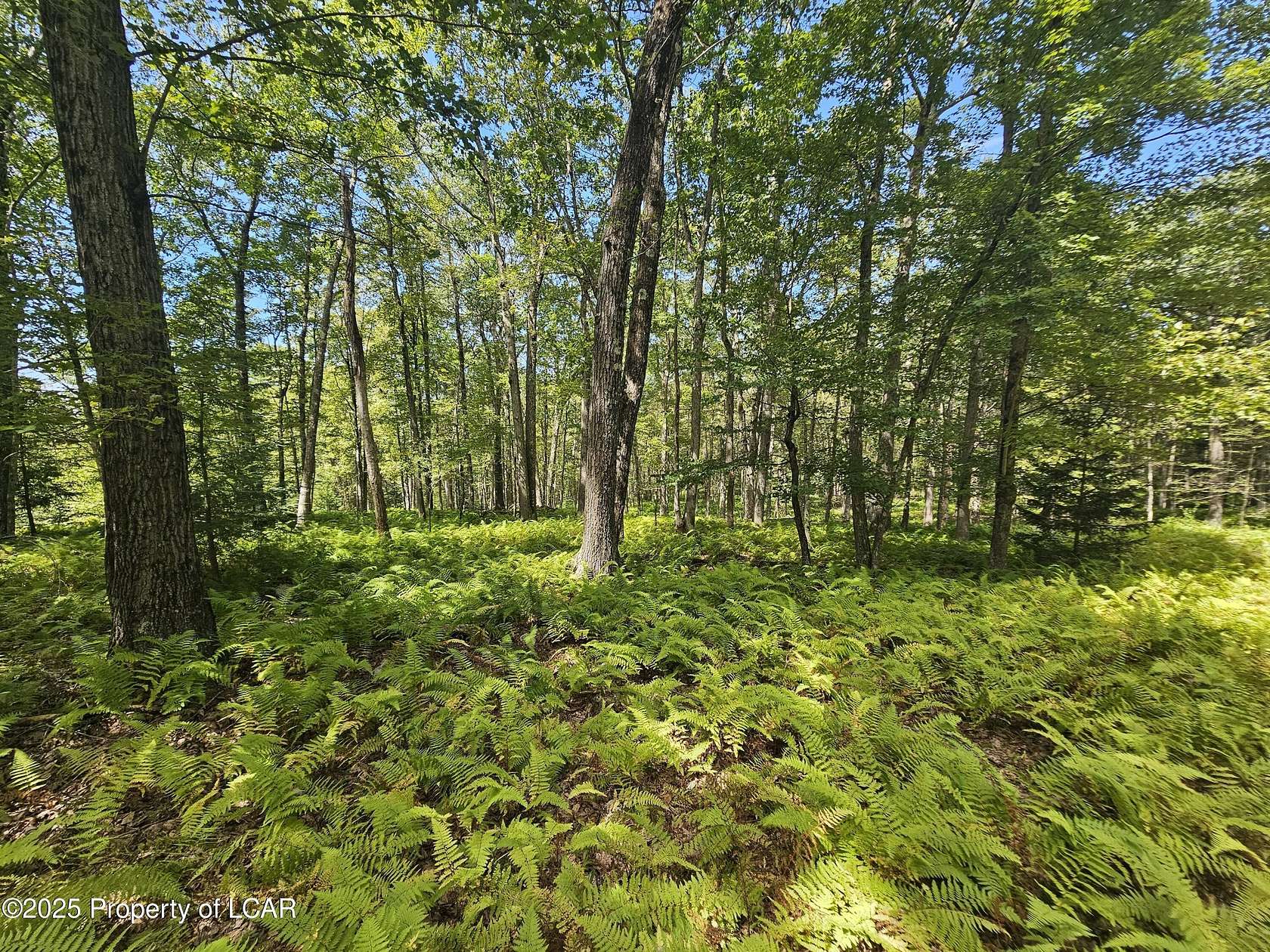 32.7 Acres of Recreational & Residential Land for Sale in Wilkes-Barre, Pennsylvania