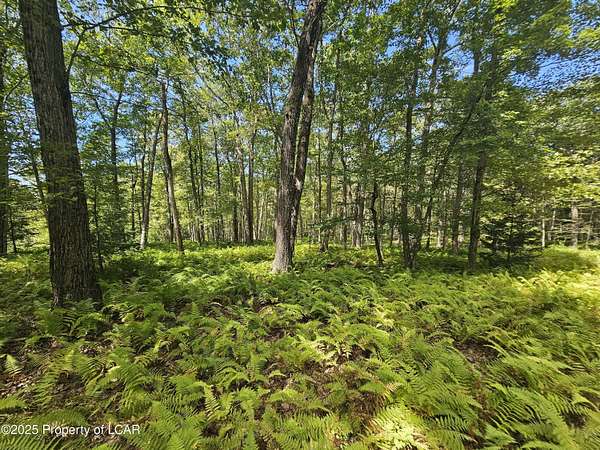 32.7 Acres of Recreational & Residential Land for Sale in Wilkes-Barre, Pennsylvania